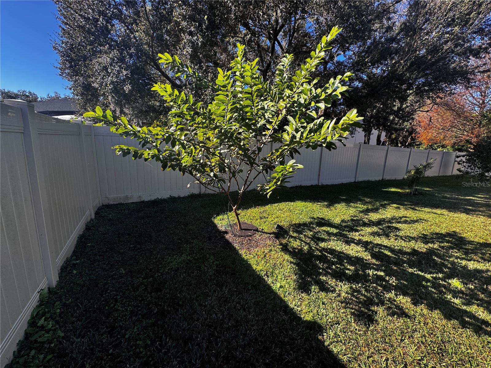 Image 55 of 58 For 2413 Eagle Trace Dr