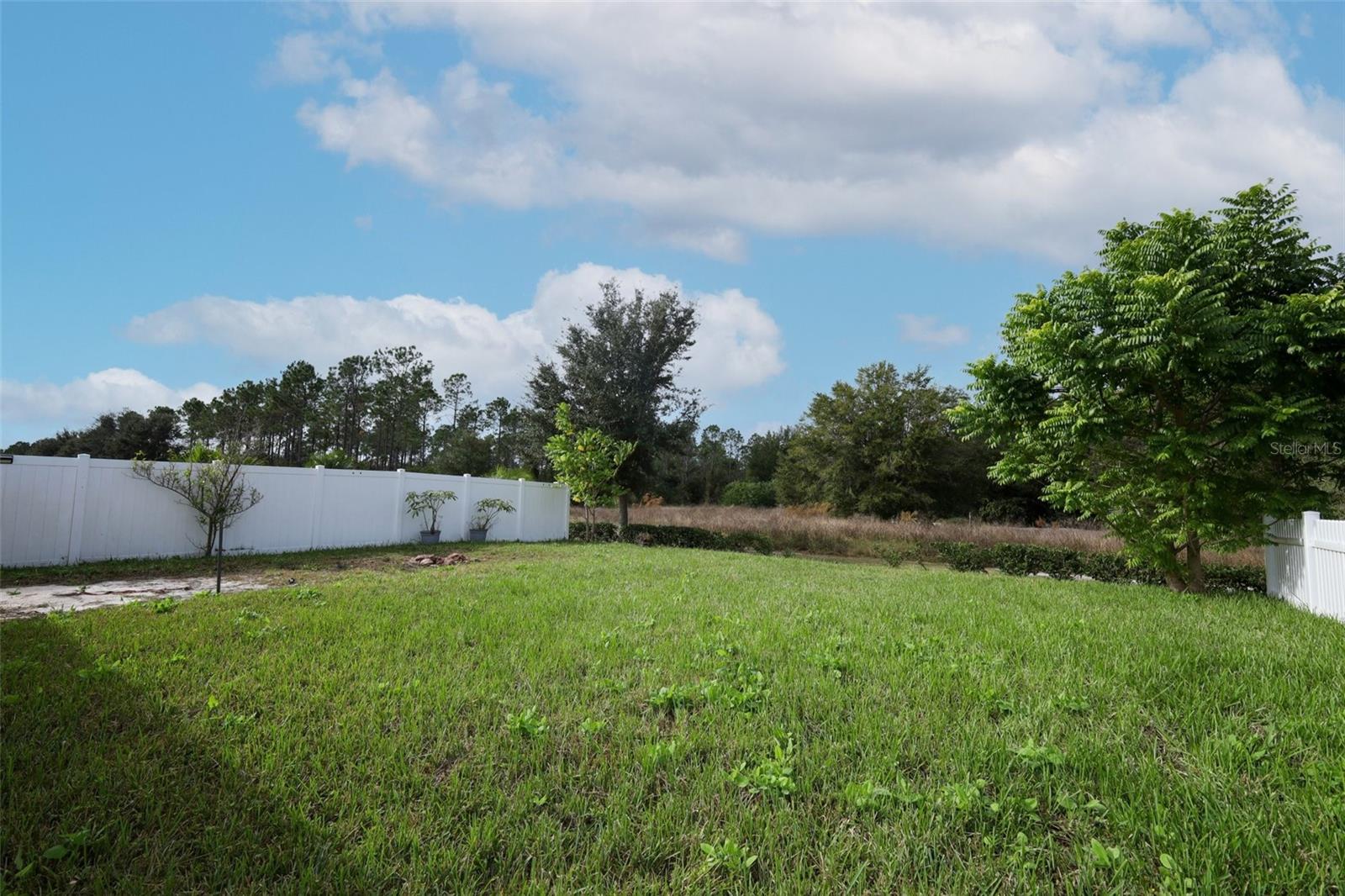 Image 28 of 34 For 1864 Green Dragon Drive