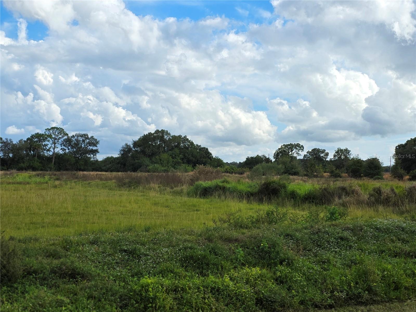 Image 14 of 16 For 1132 48th Avenue