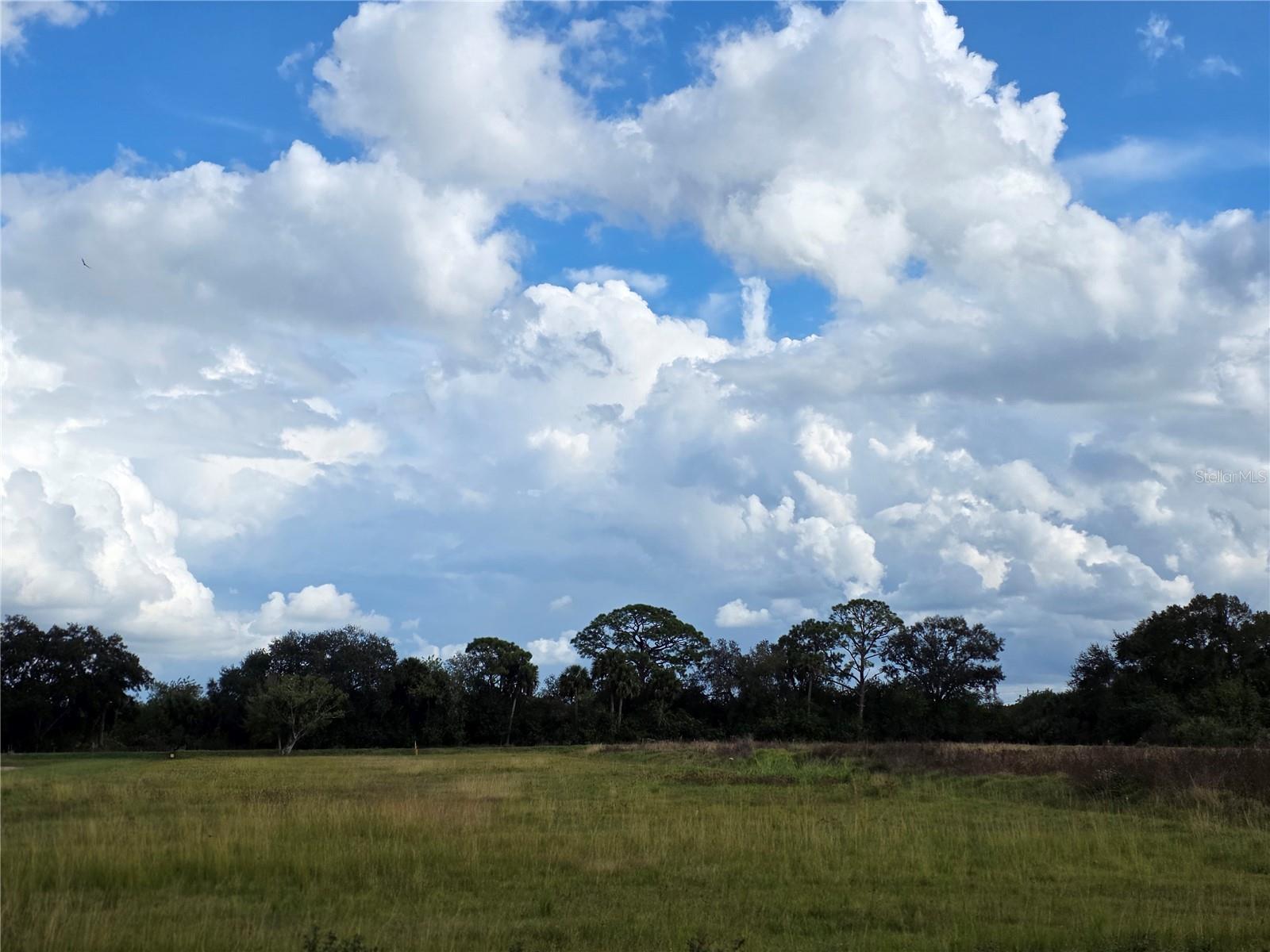 Image 16 of 16 For 1132 48th Avenue