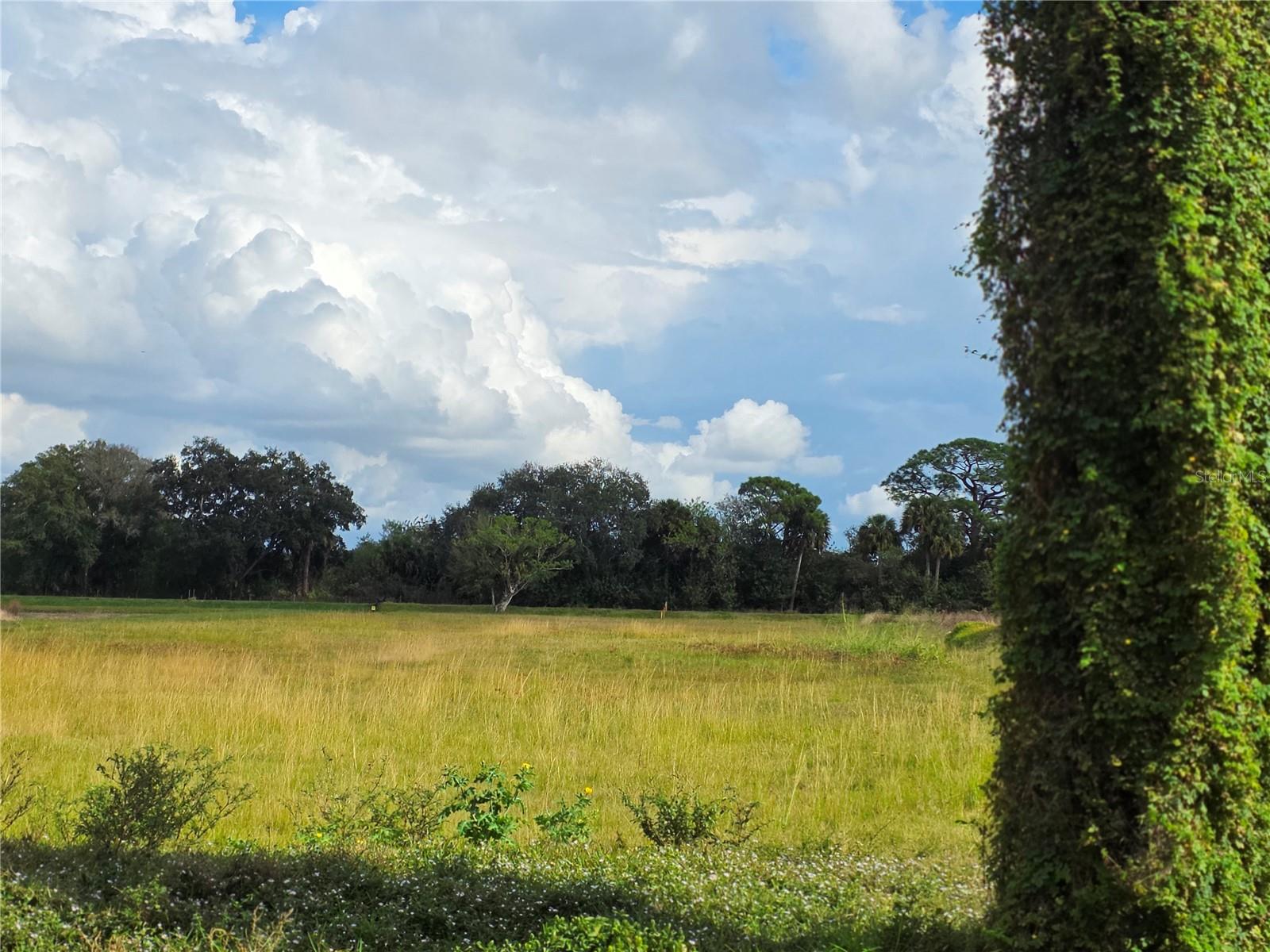 Image 6 of 16 For 1132 48th Avenue