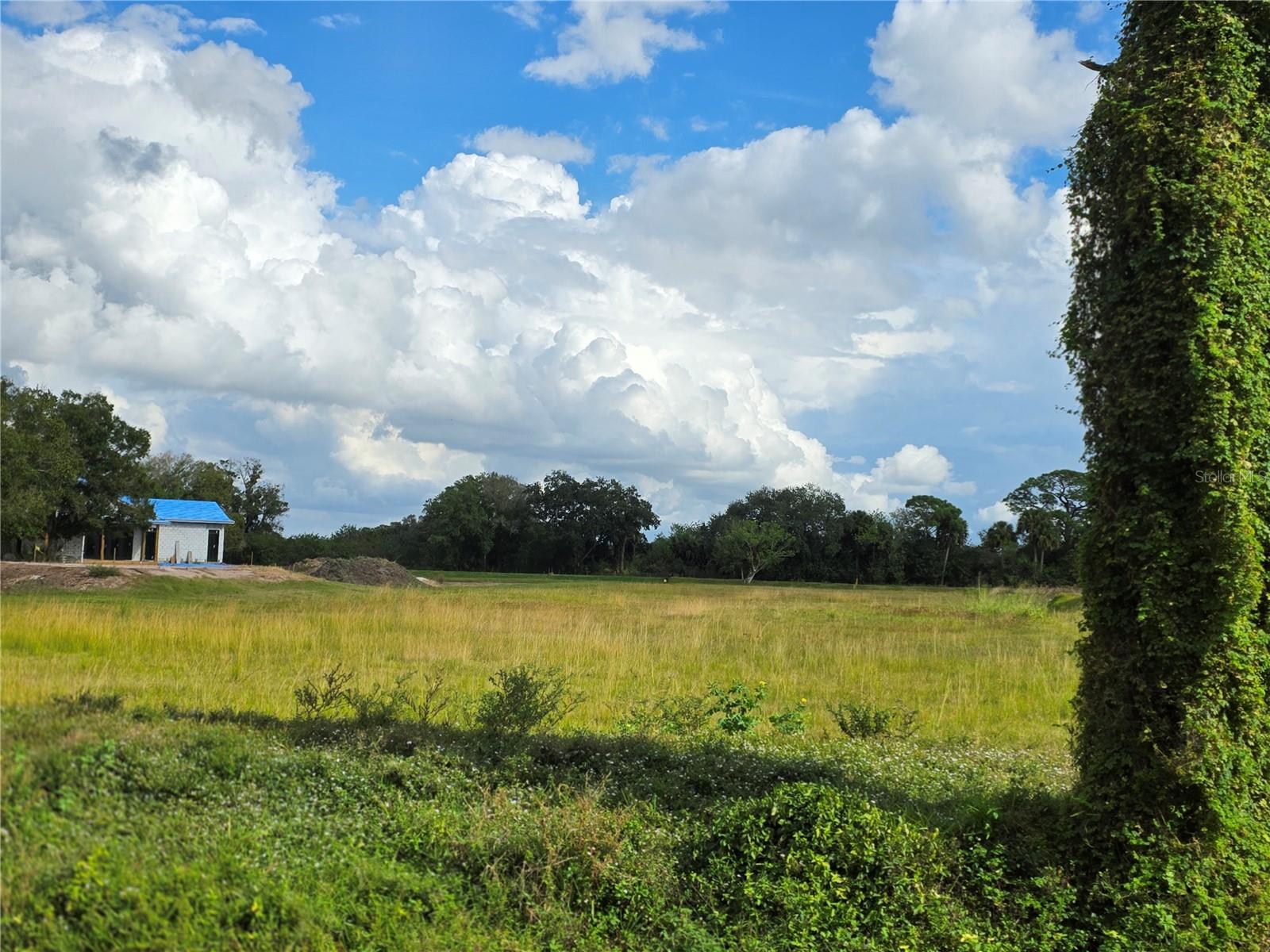 Image 7 of 16 For 1132 48th Avenue