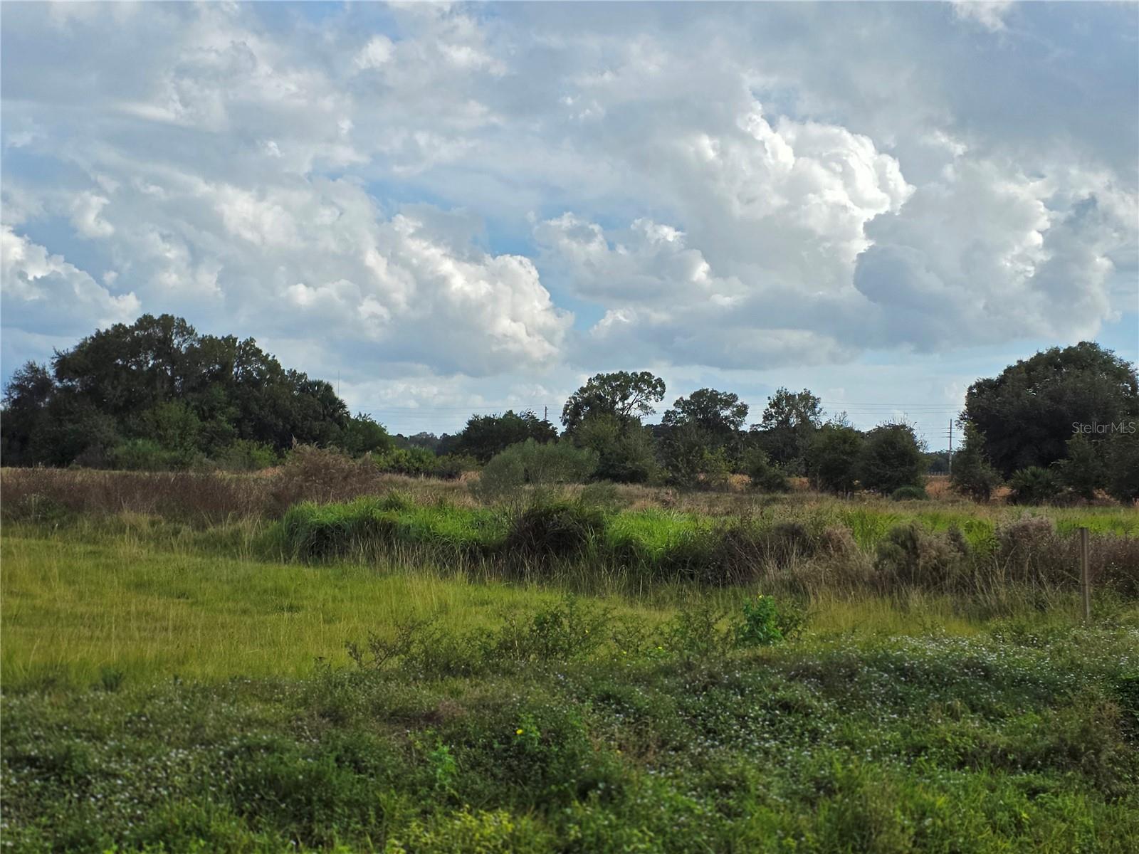 Image 8 of 16 For 1132 48th Avenue