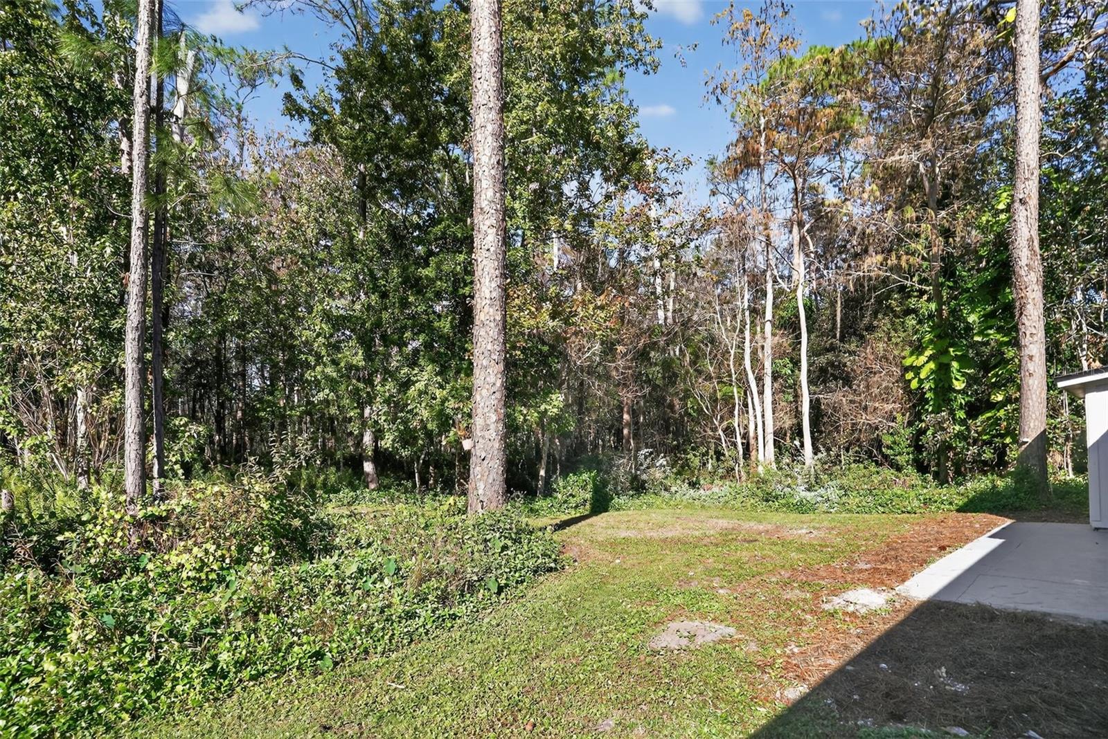 Image 34 of 37 For Address Not Provided