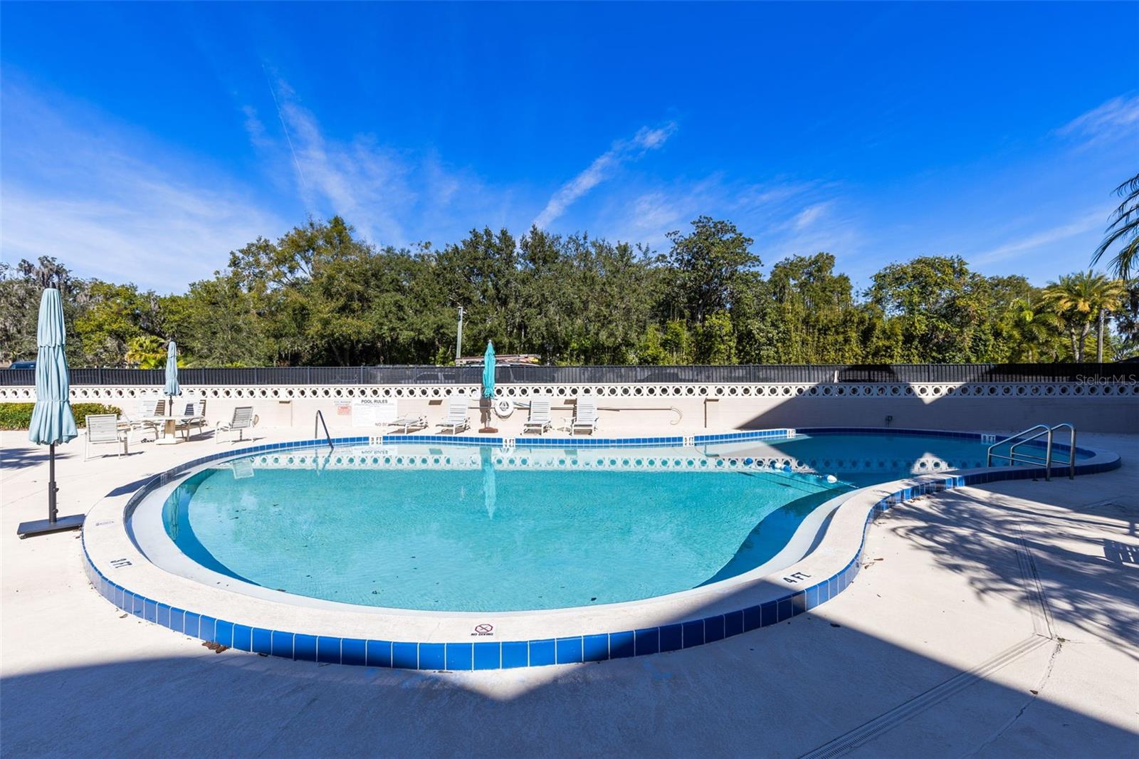 Image 21 of 33 For 311 Morse Boulevard 19