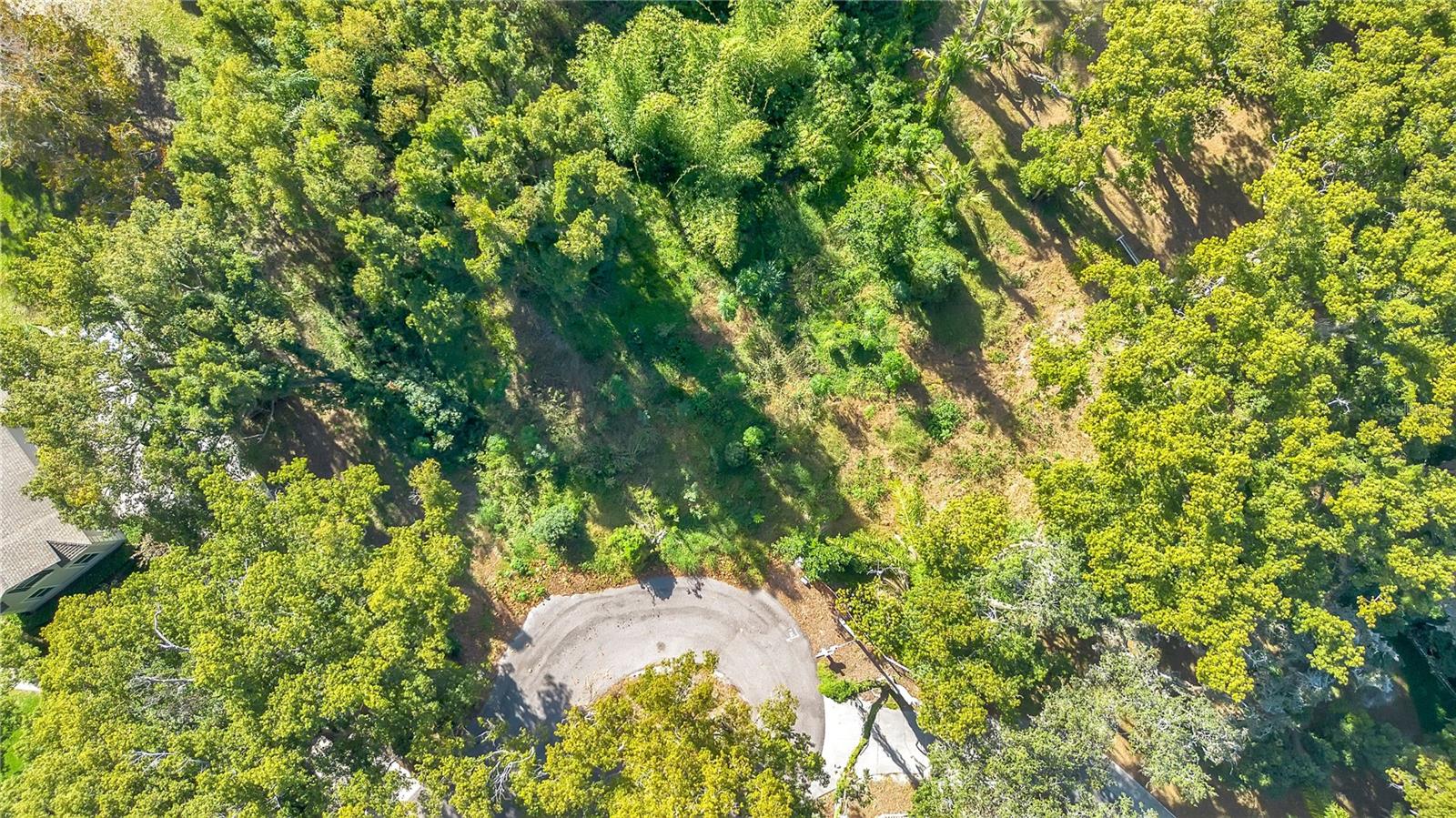 Image 10 of 18 For 7624 Teakwood Place