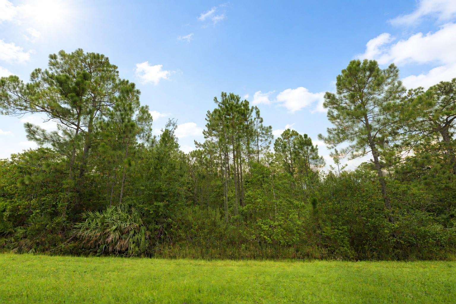 Details for 18715 Sodbury Street, ORLANDO, FL 32833