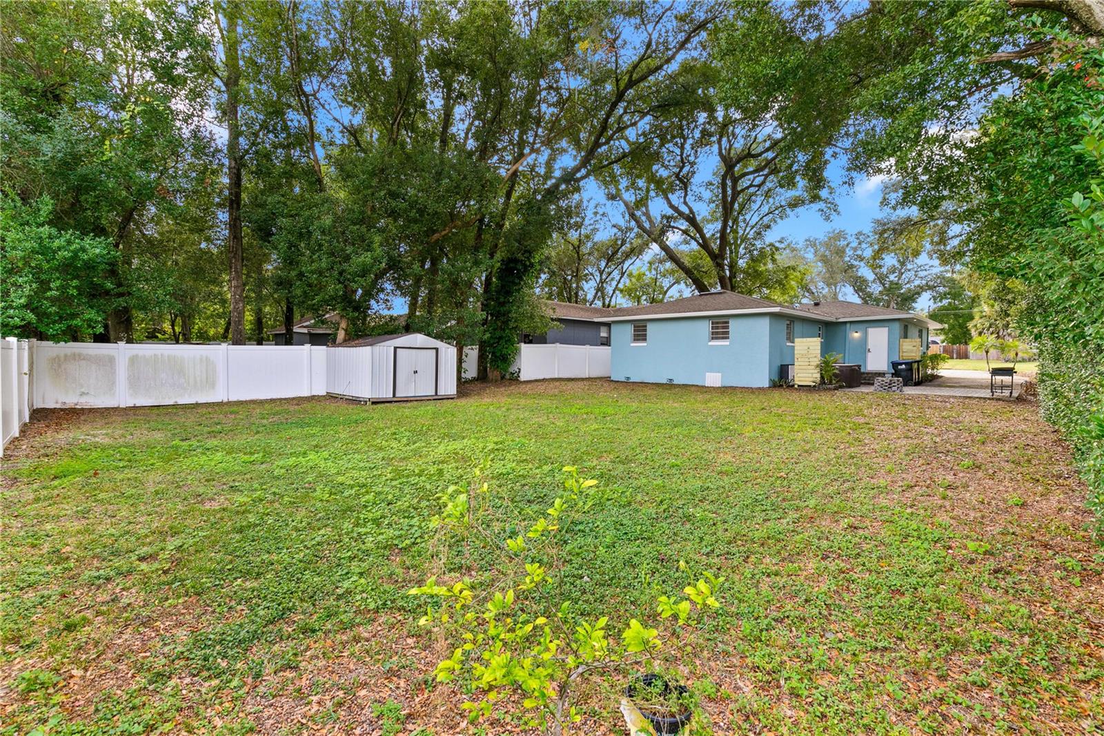 Image 9 of 35 For 3201 Martin Street