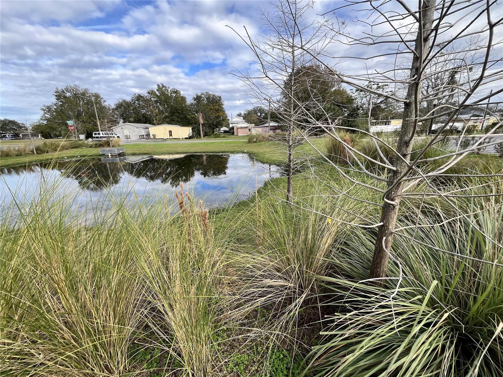 Image 8 of 9 For 311 Magnolia Street 2