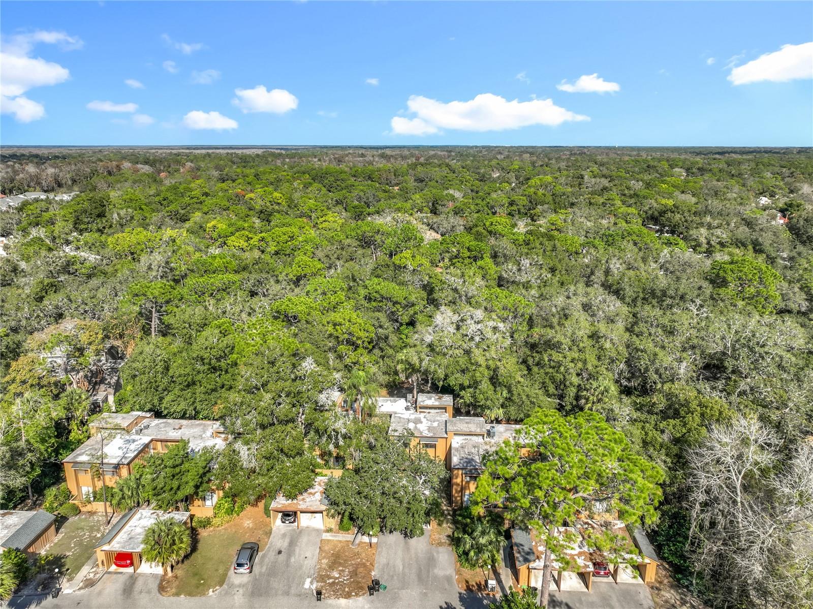 Image 39 of 71 For 233 Crown Oaks Way 233