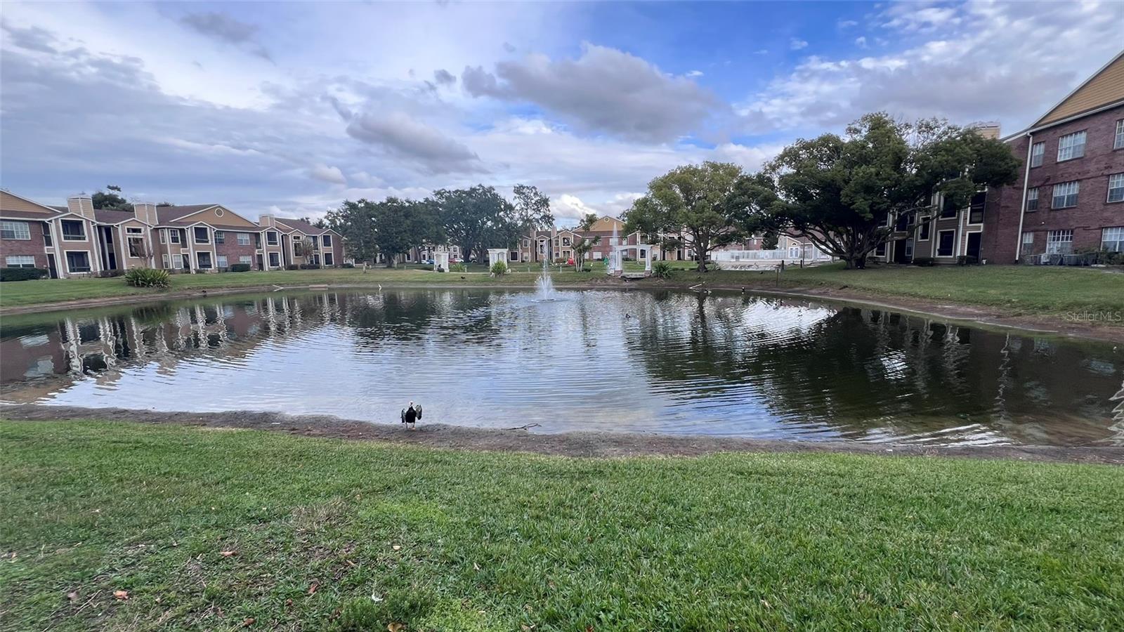 Image 16 of 17 For Address Not Provided