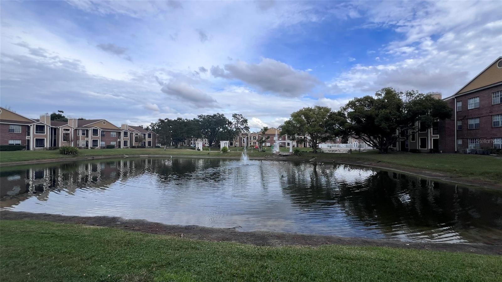 Image 17 of 17 For Address Not Provided