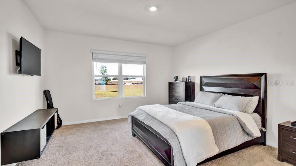 Image 13 of 27 For 2722 Reddish Egret Bend