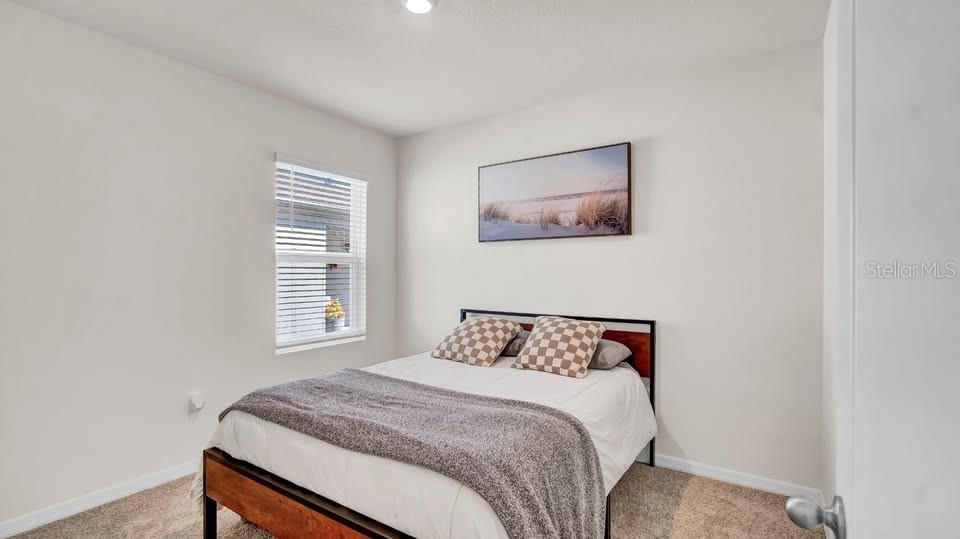 Image 16 of 27 For 2722 Reddish Egret Bend