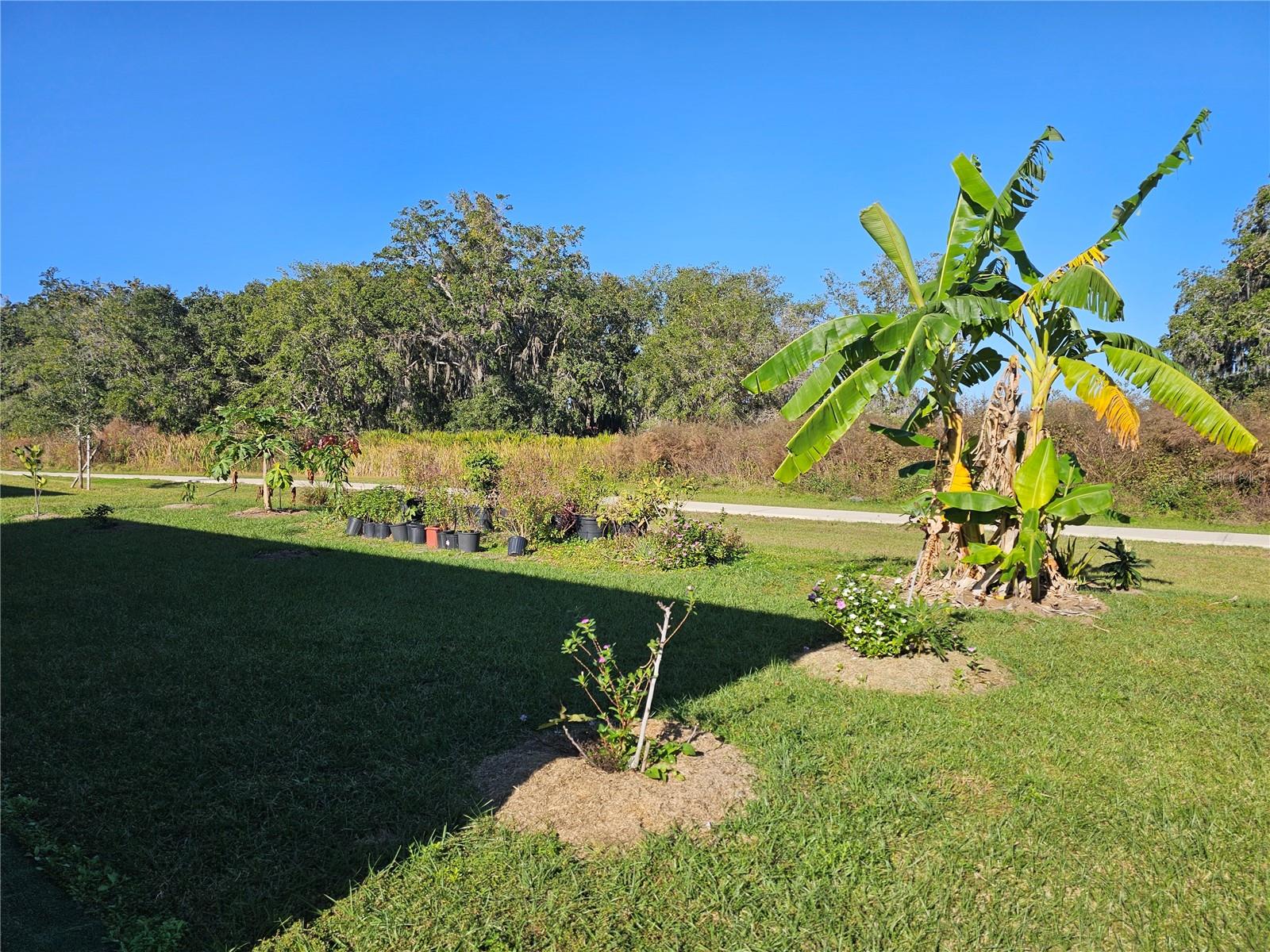 Image 33 of 38 For 2045 Rankin Street