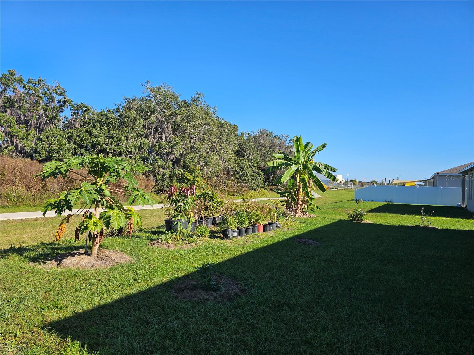 Image 35 of 38 For 2045 Rankin Street