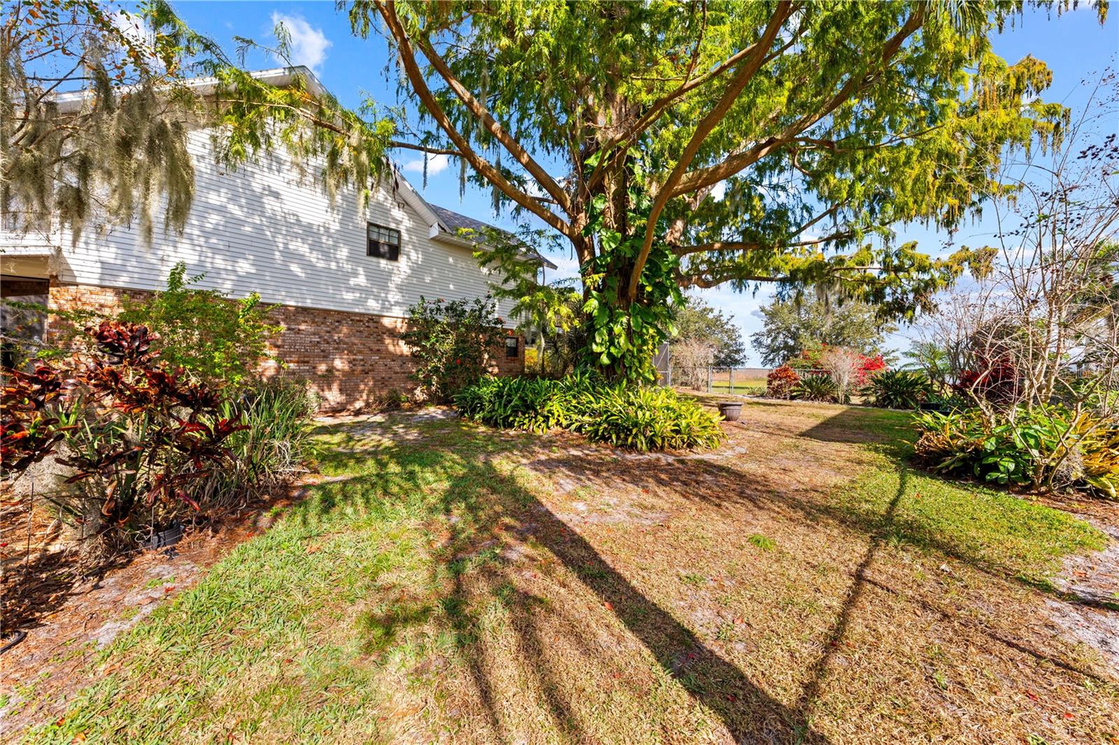 Image 55 of 71 For 215 Lake Shore Boulevard