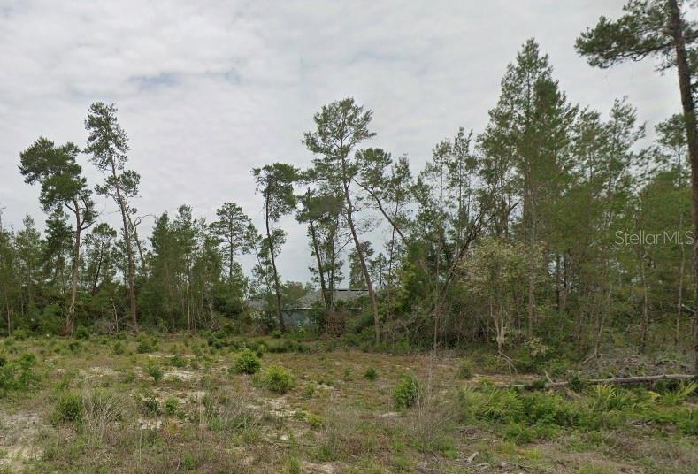 Listing Details for Tbd Sw 30th Ave Rd, OCALA, FL 34473