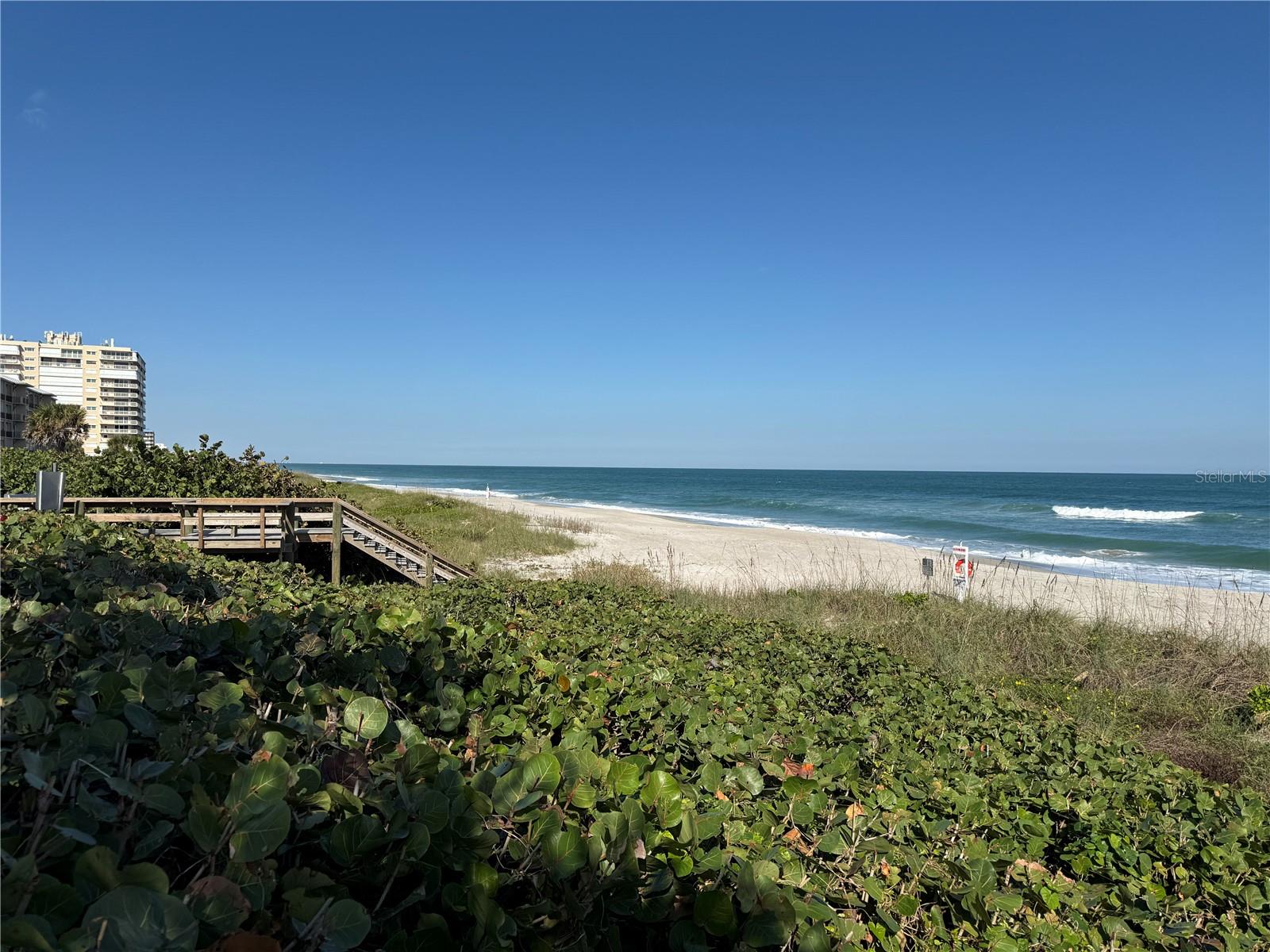 Image 38 of 42 For 601 Miramar Avenue 205