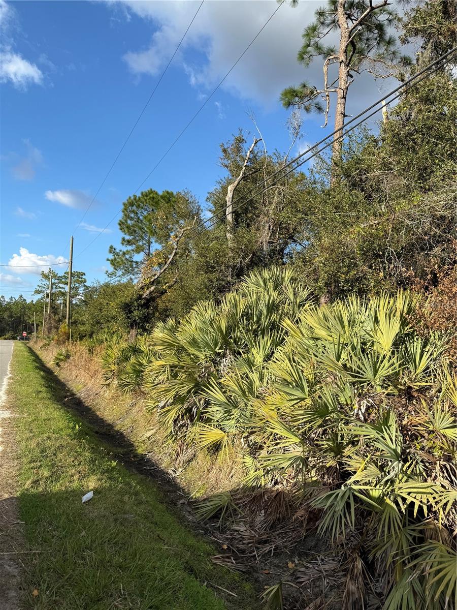 Image 2 of 3 For Padrick Avenue