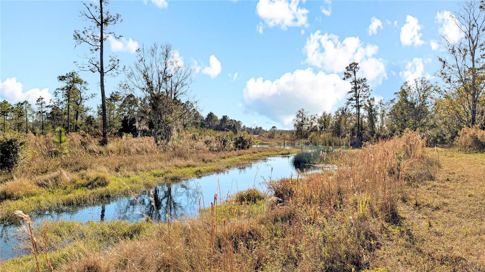 Image 12 of 18 For 23545 Bishop Avenue