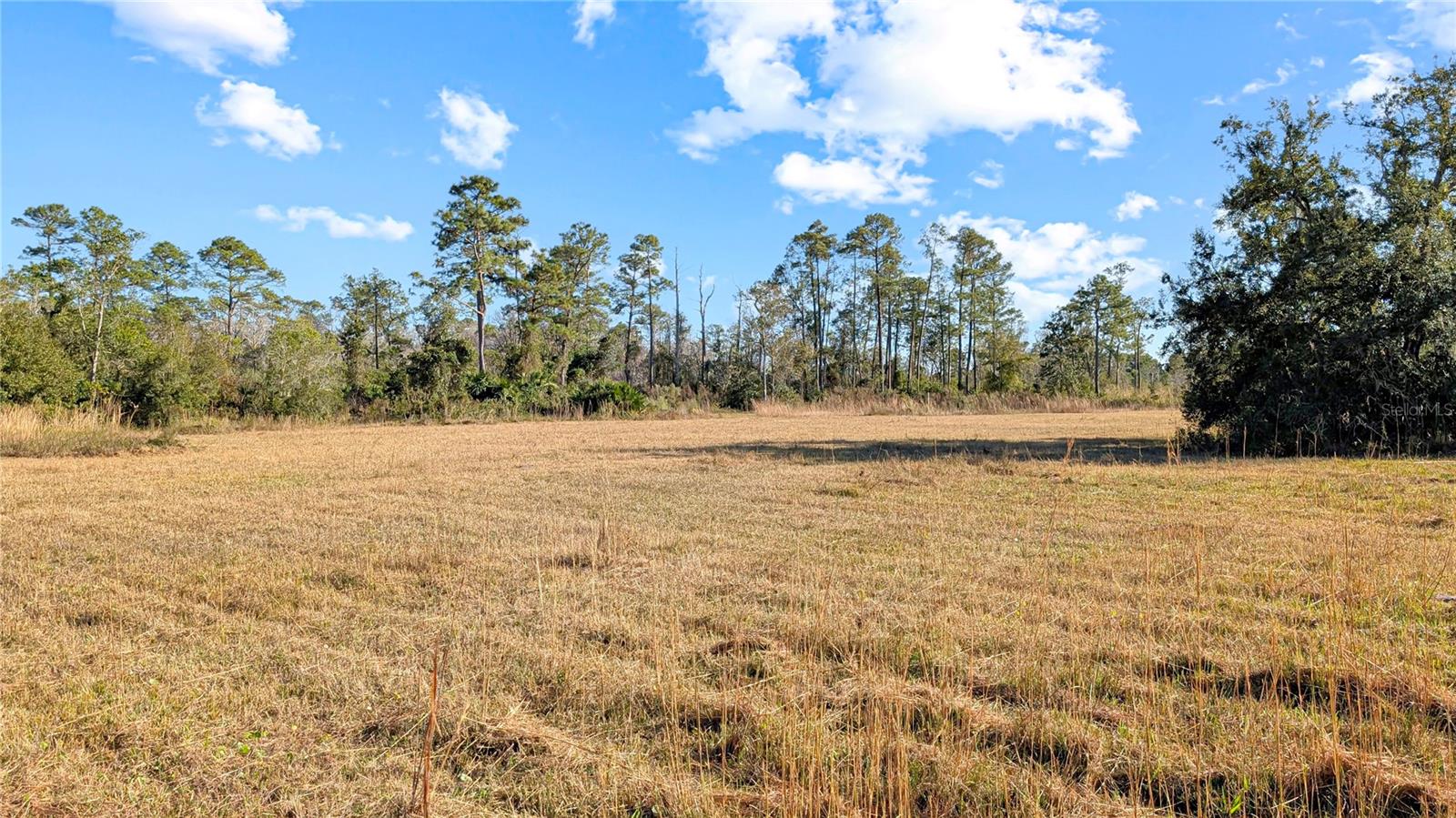 Image 14 of 18 For 23545 Bishop Avenue