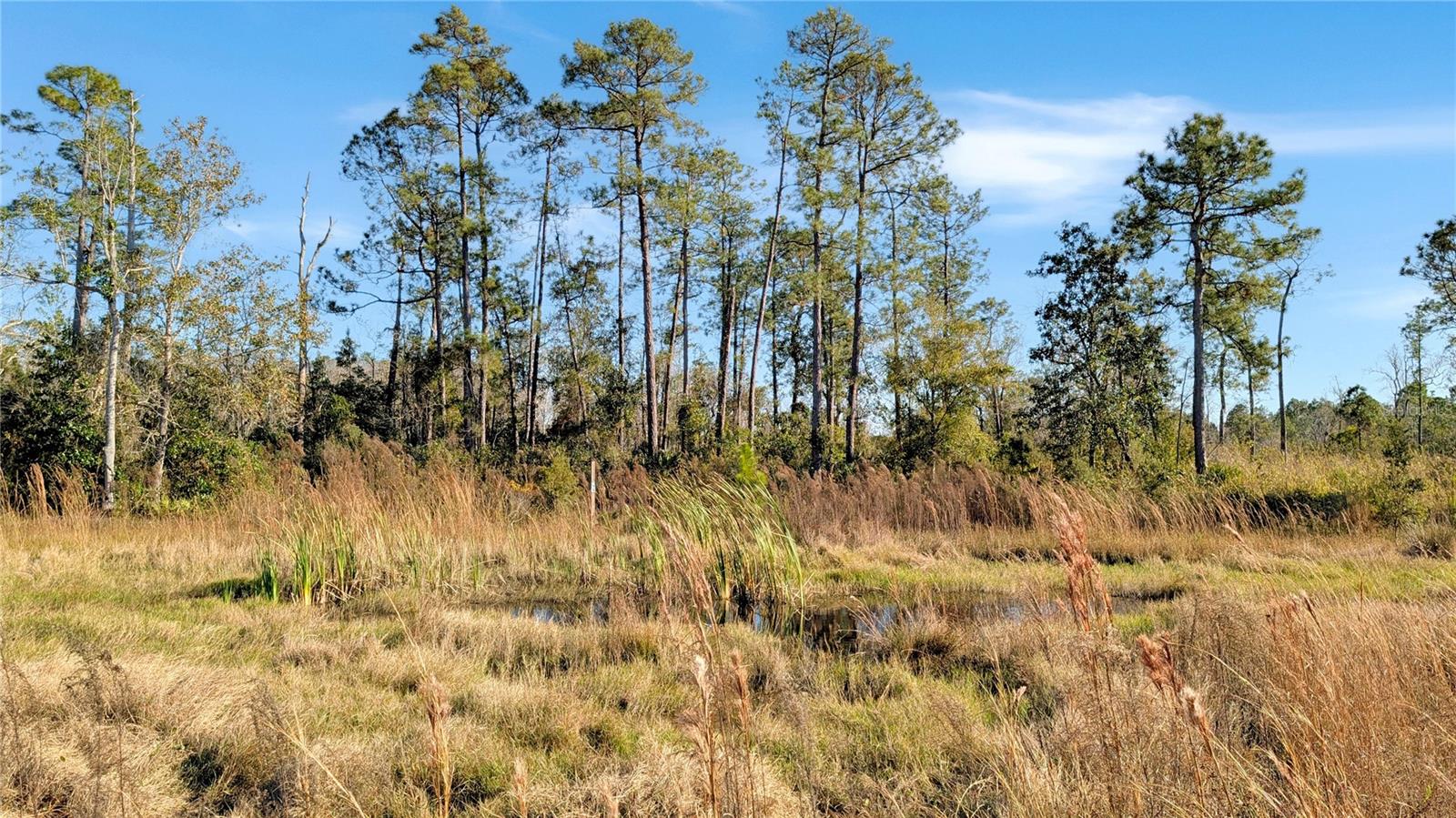 Image 15 of 18 For 23545 Bishop Avenue