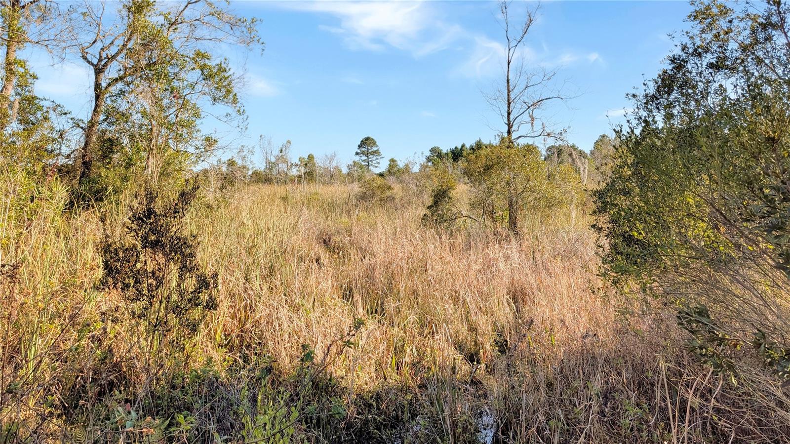 Image 16 of 18 For 23545 Bishop Avenue