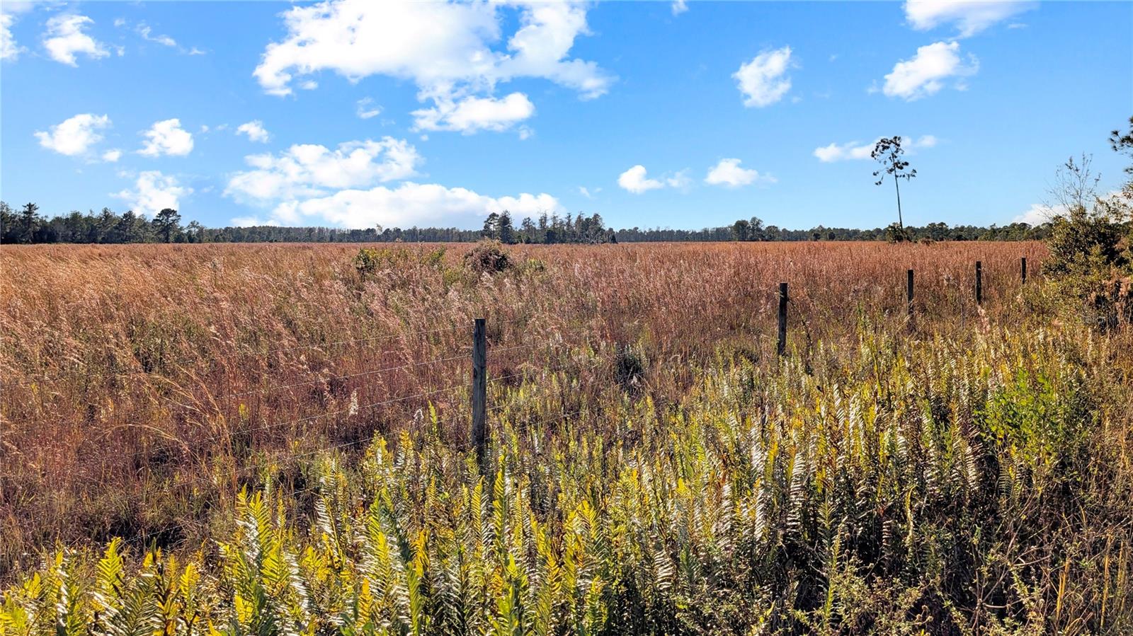 Image 18 of 18 For 23545 Bishop Avenue