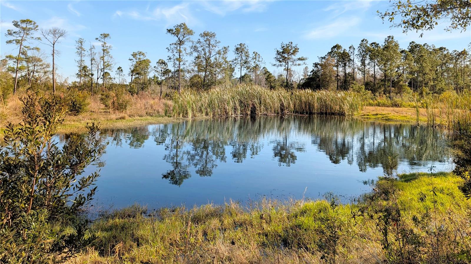 Image 2 of 18 For 23545 Bishop Avenue