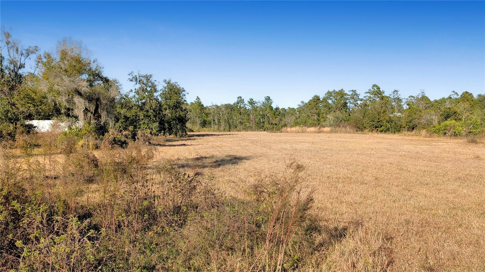 Image 3 of 18 For 23545 Bishop Avenue