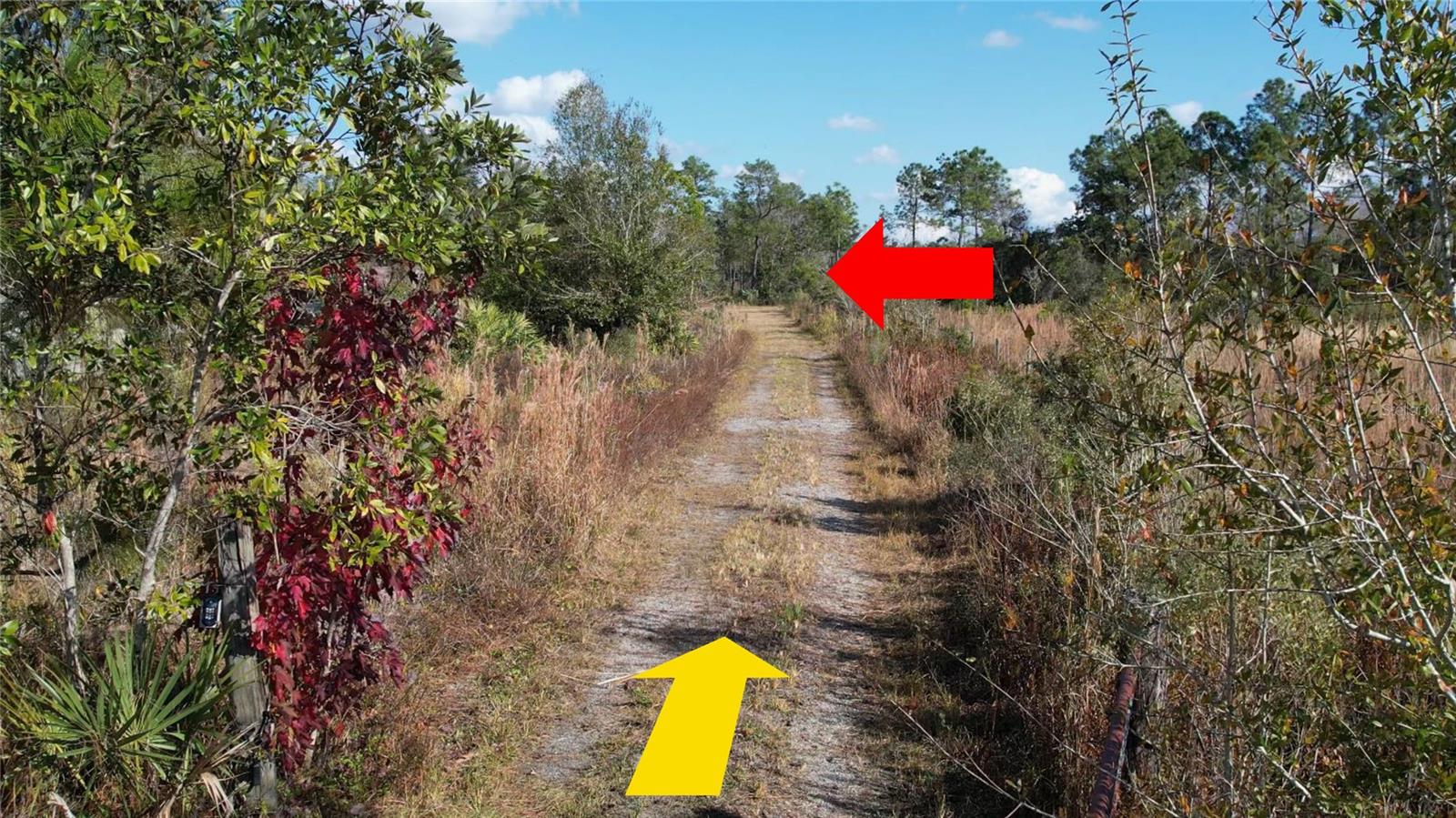 Image 8 of 18 For 23545 Bishop Avenue