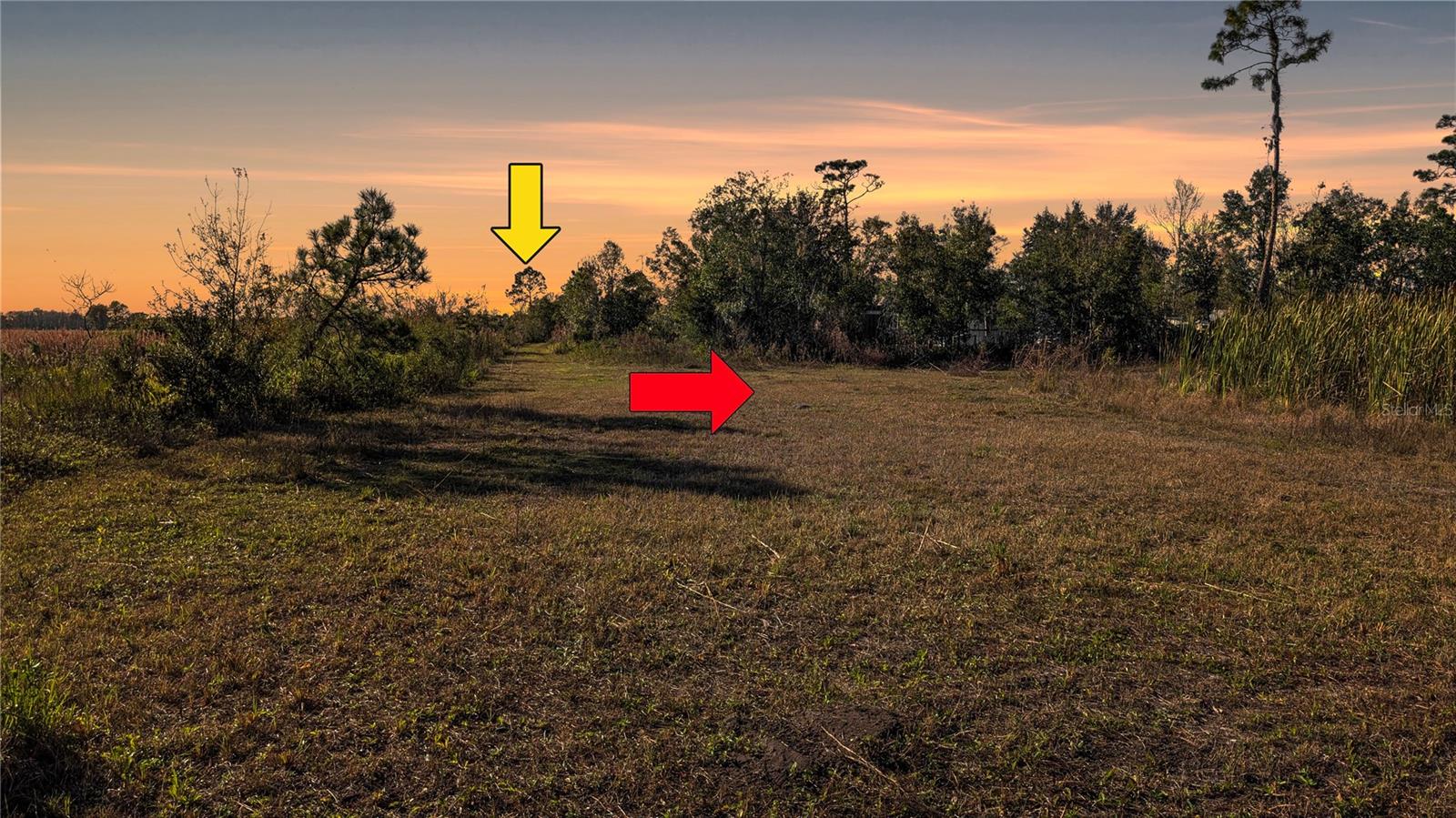 Image 9 of 18 For 23545 Bishop Avenue