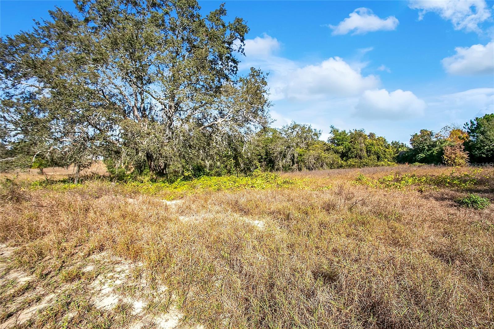 Image 8 of 24 For 17309 Marsh Road
