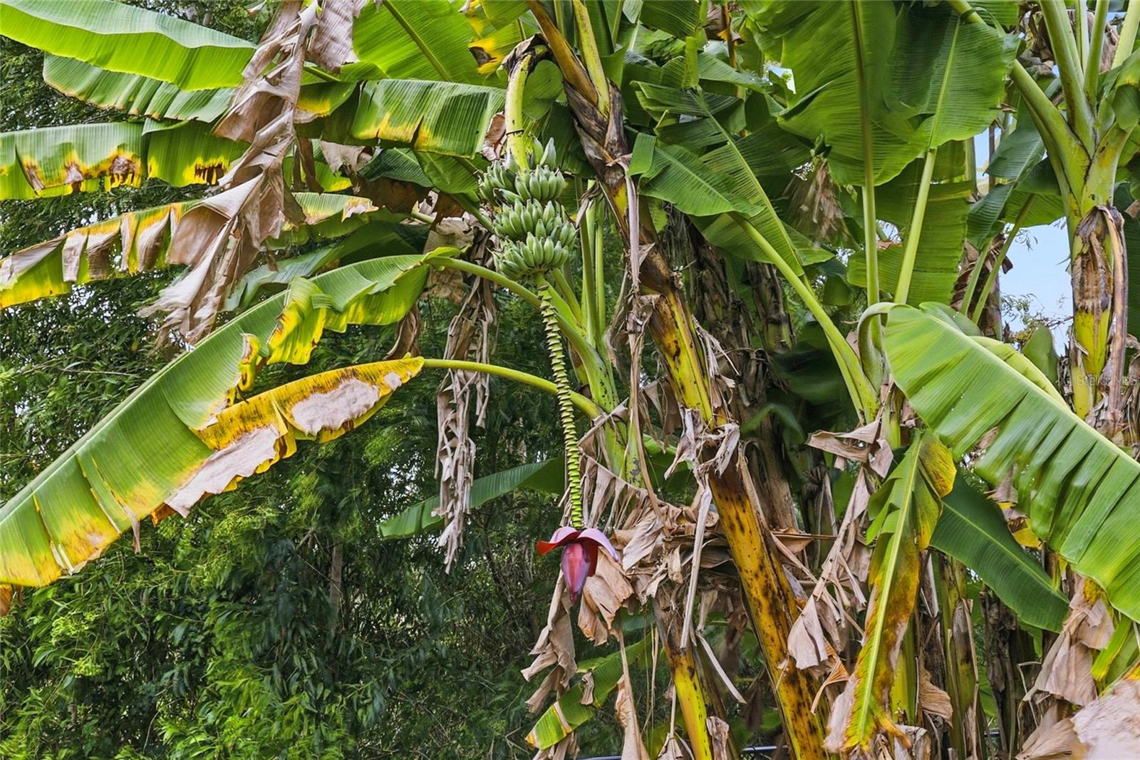 Image 55 of 65 For 14630 Aeries Way Drive