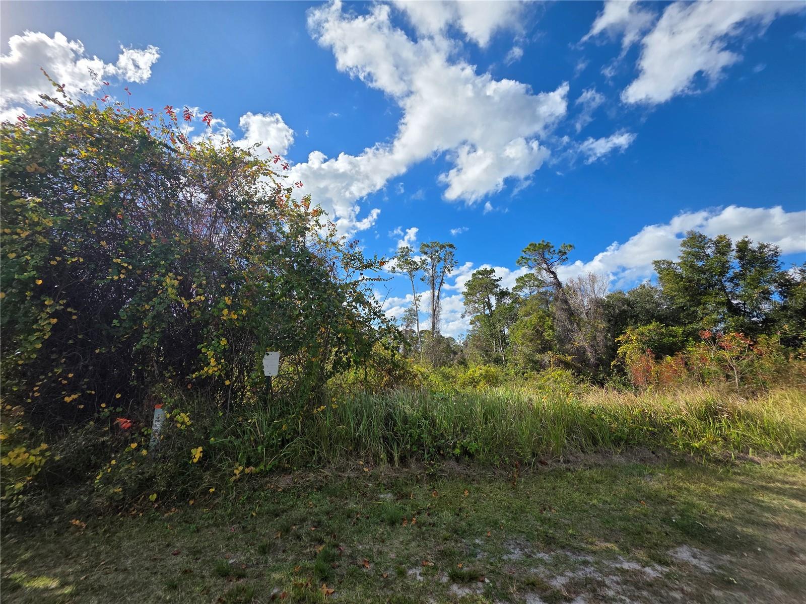 Image 2 of 6 For 520 Kingway Drive