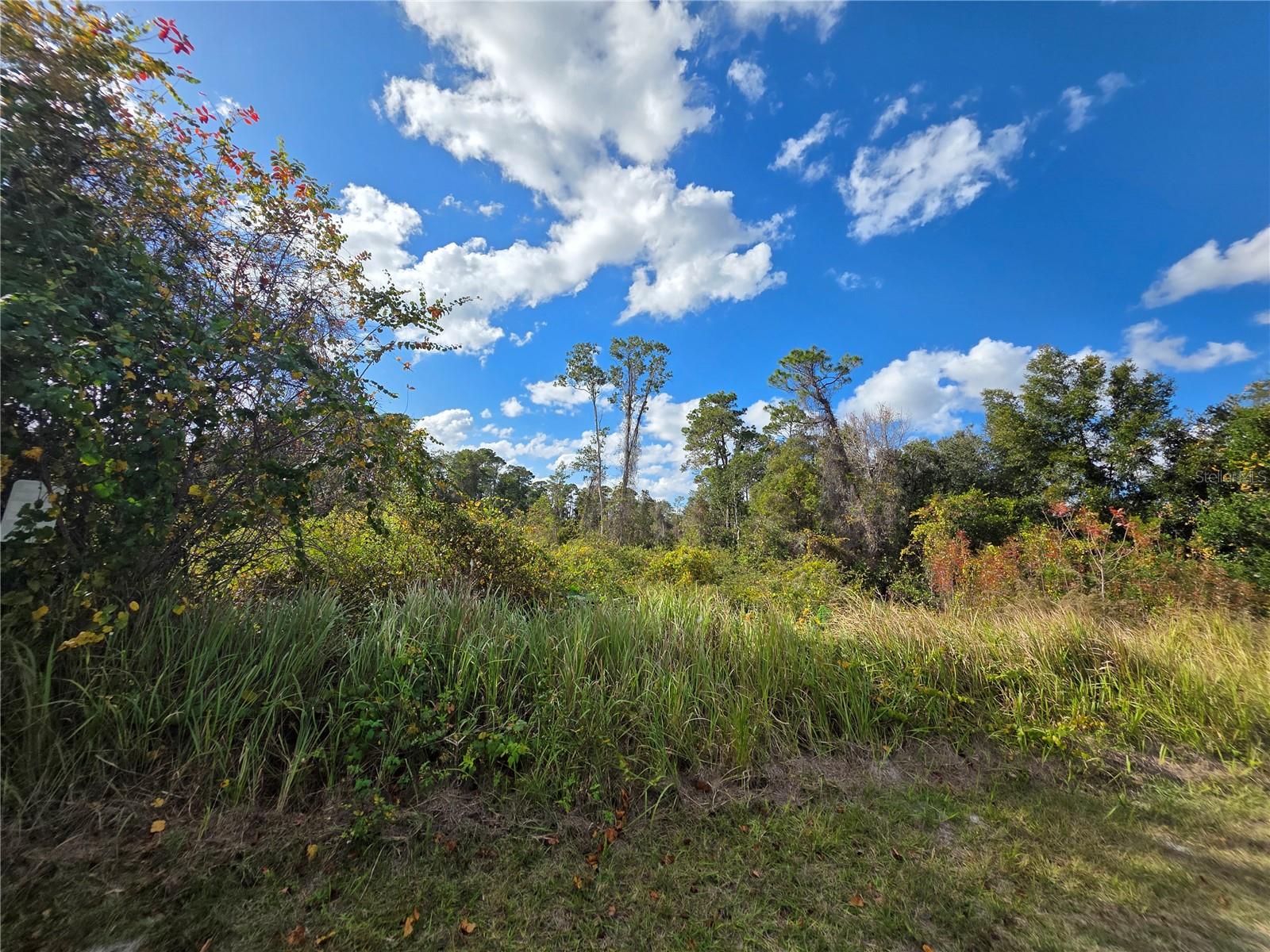 Image 3 of 6 For 520 Kingway Drive