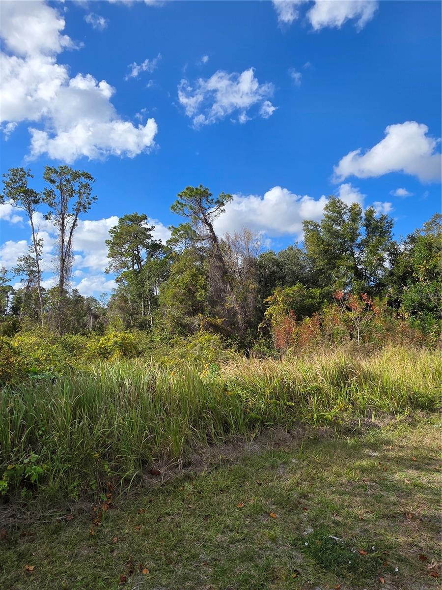 Image 5 of 6 For 520 Kingway Drive