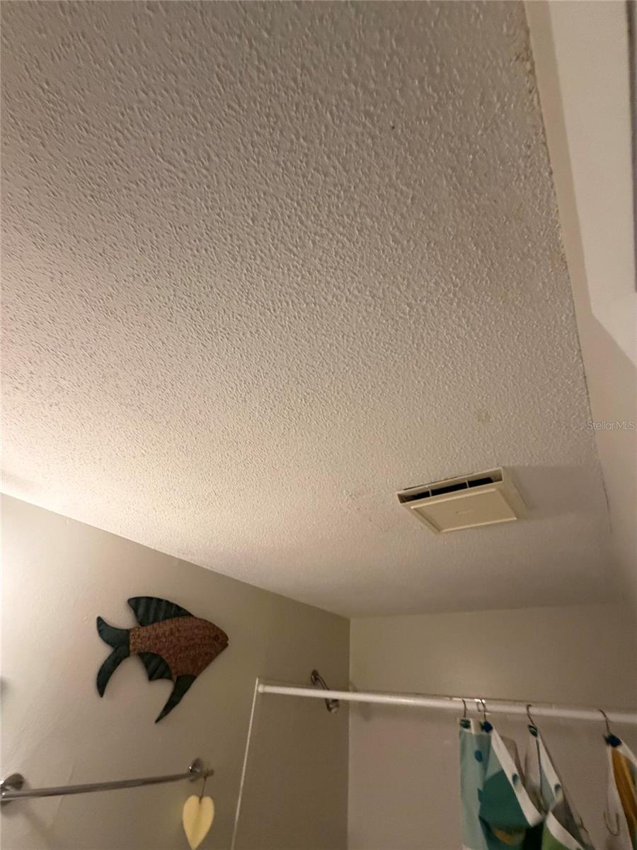 Image 16 of 19 For 662 Circlewood Drive V4