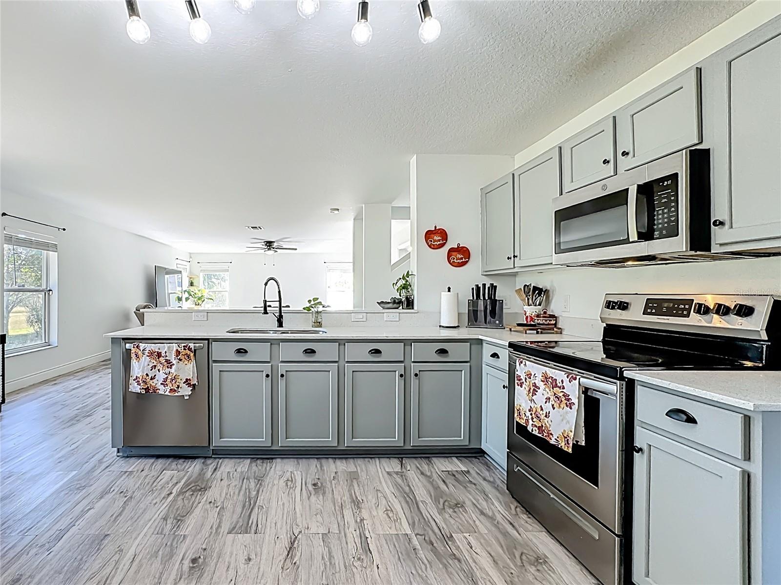 Image 12 of 67 For 13841 Chihuly Court