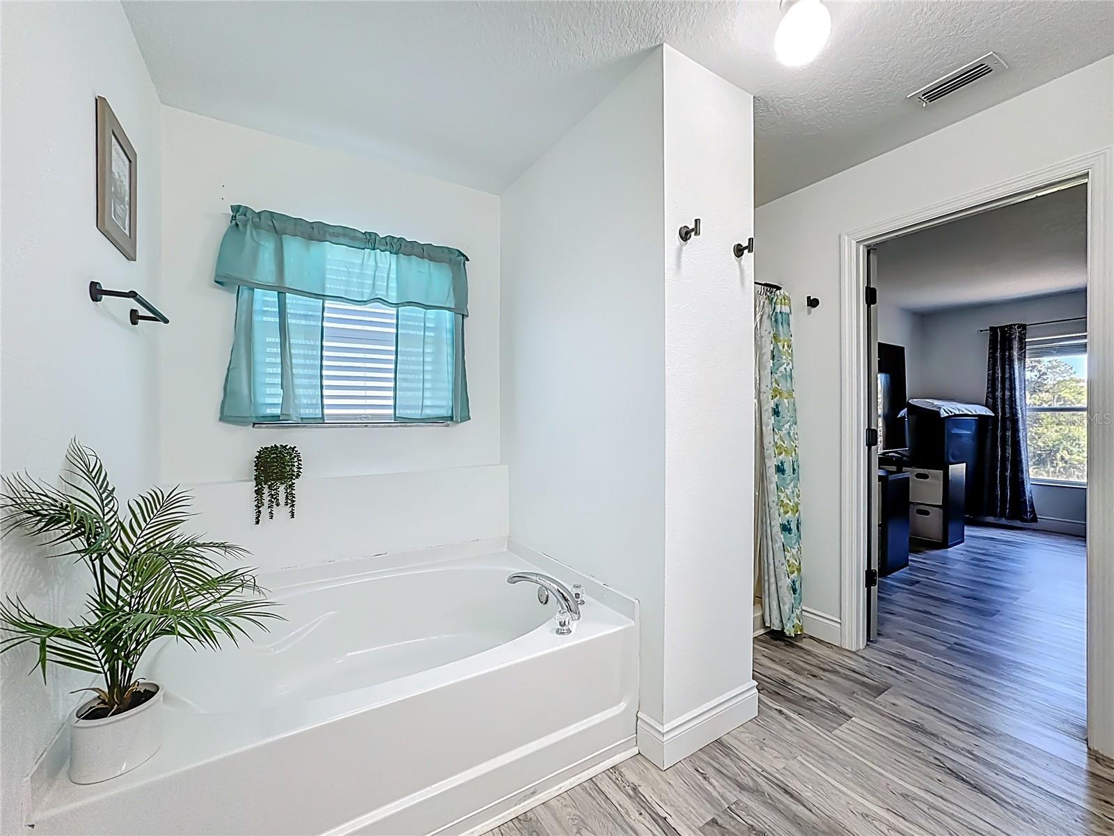 Image 53 of 67 For 13841 Chihuly Court