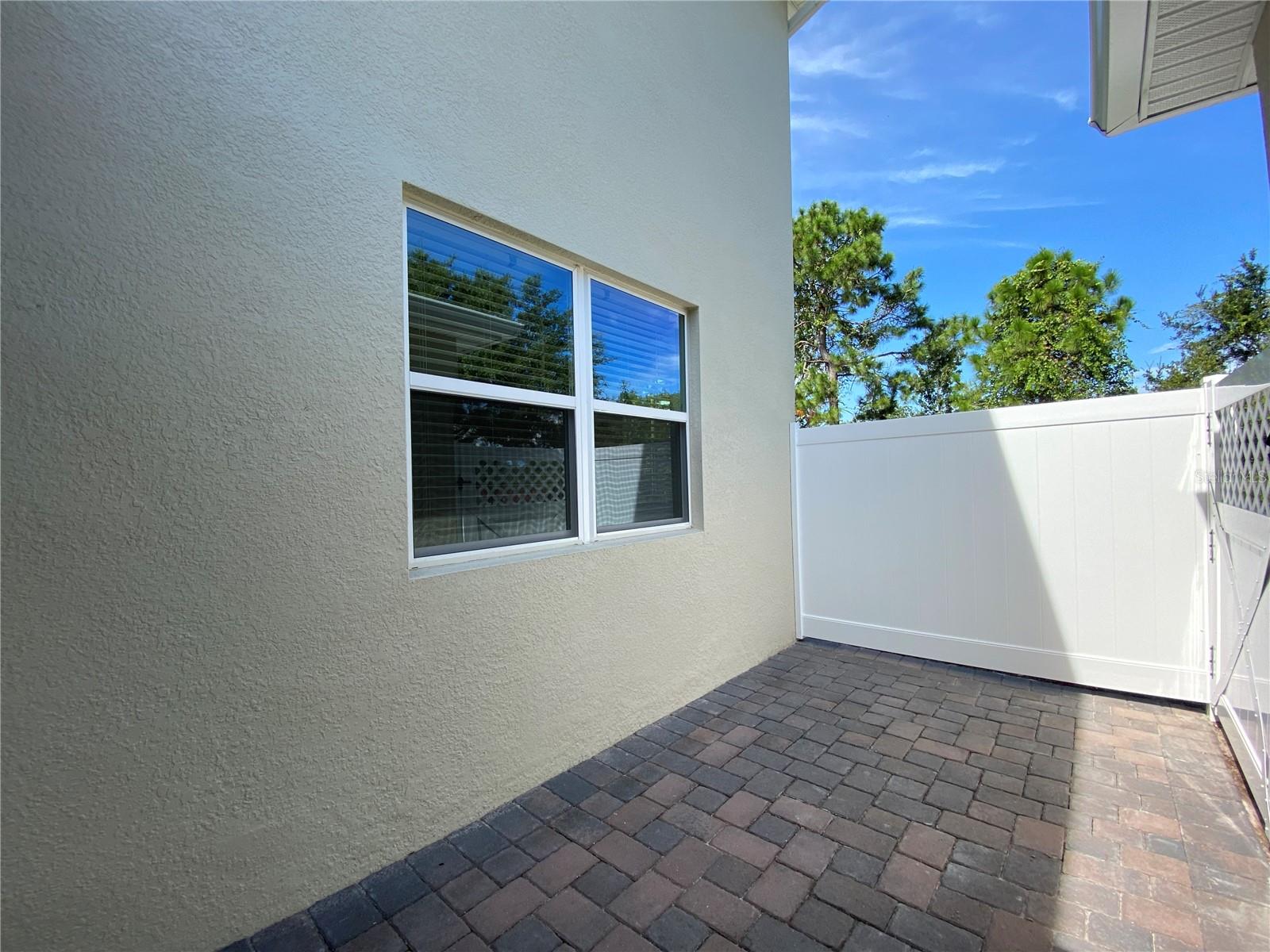 Image 18 of 19 For 2999 Aqua Virgo Loop 1