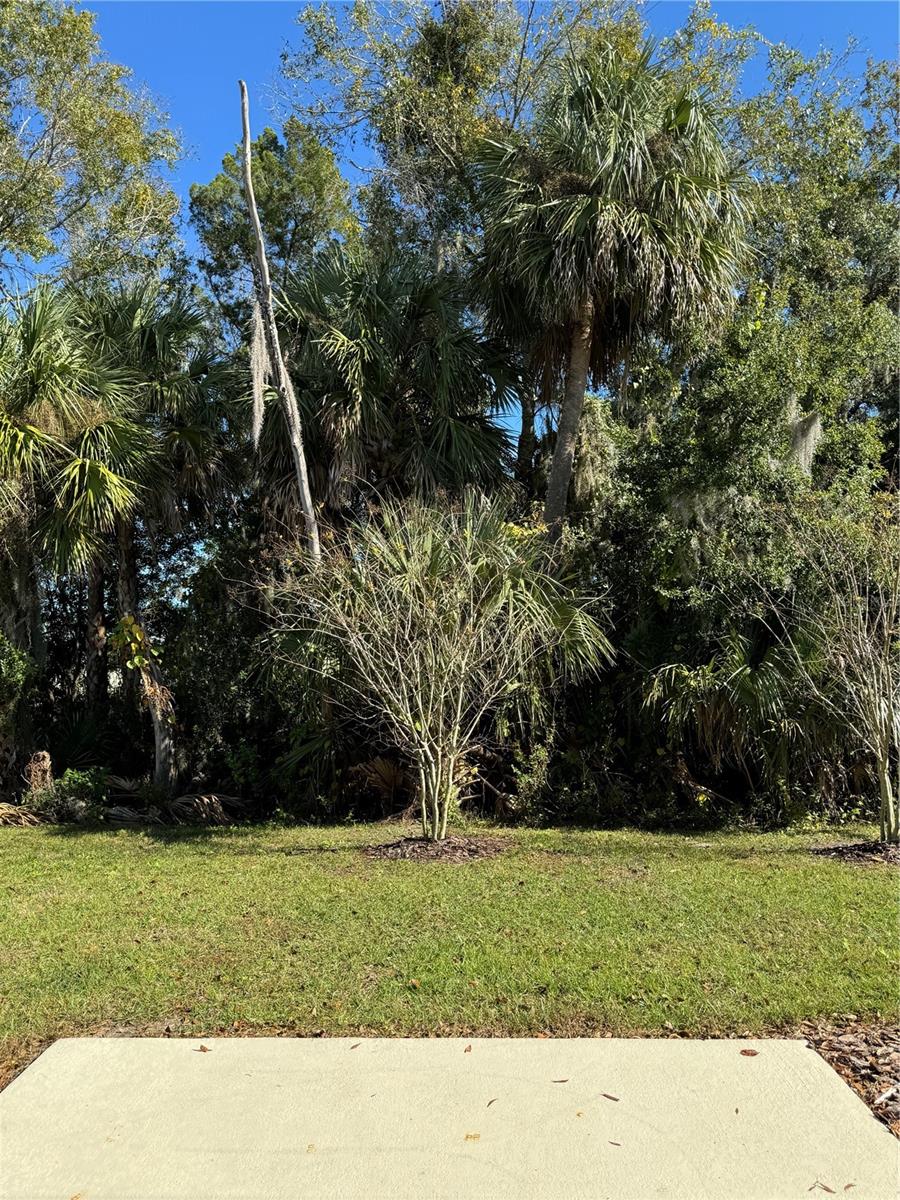 Image 19 of 26 For 2357 Carrabelle Way