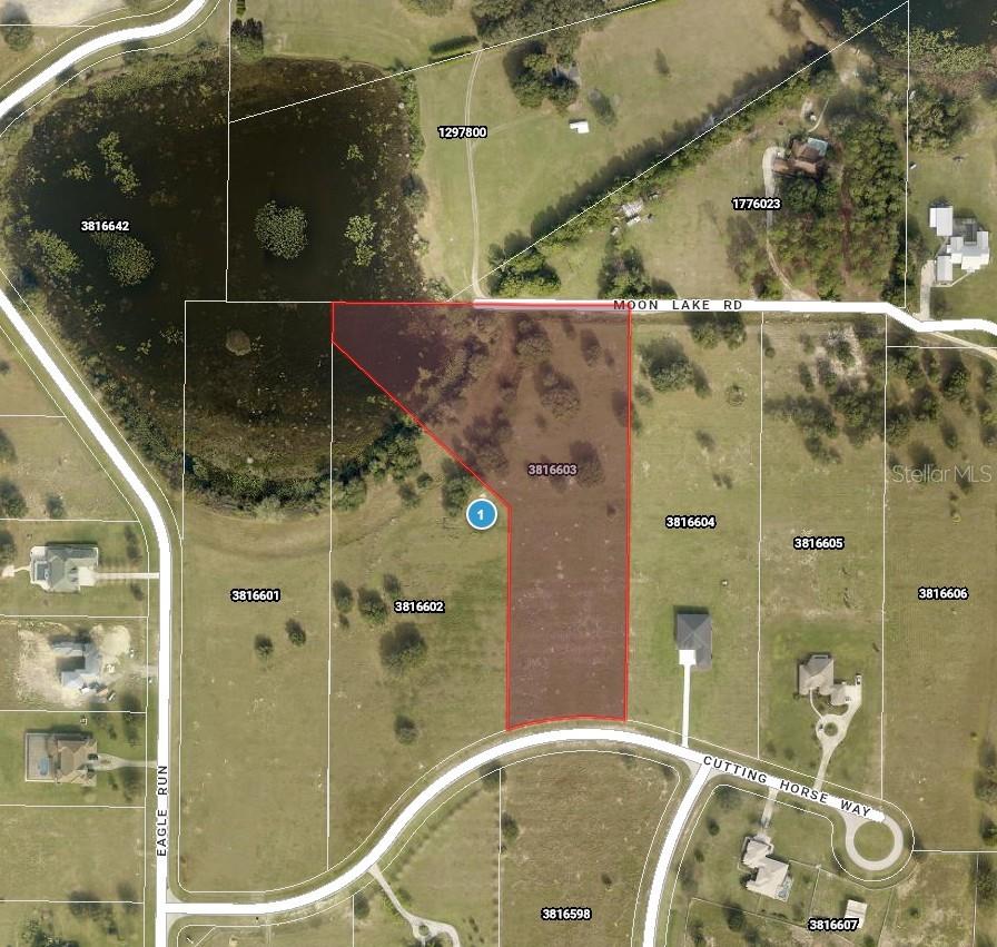 Details for Cutting Horse Way, GROVELAND, FL 34736