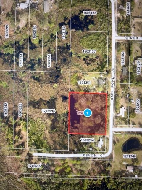 Image 5 of 5 For Toms Pond Road