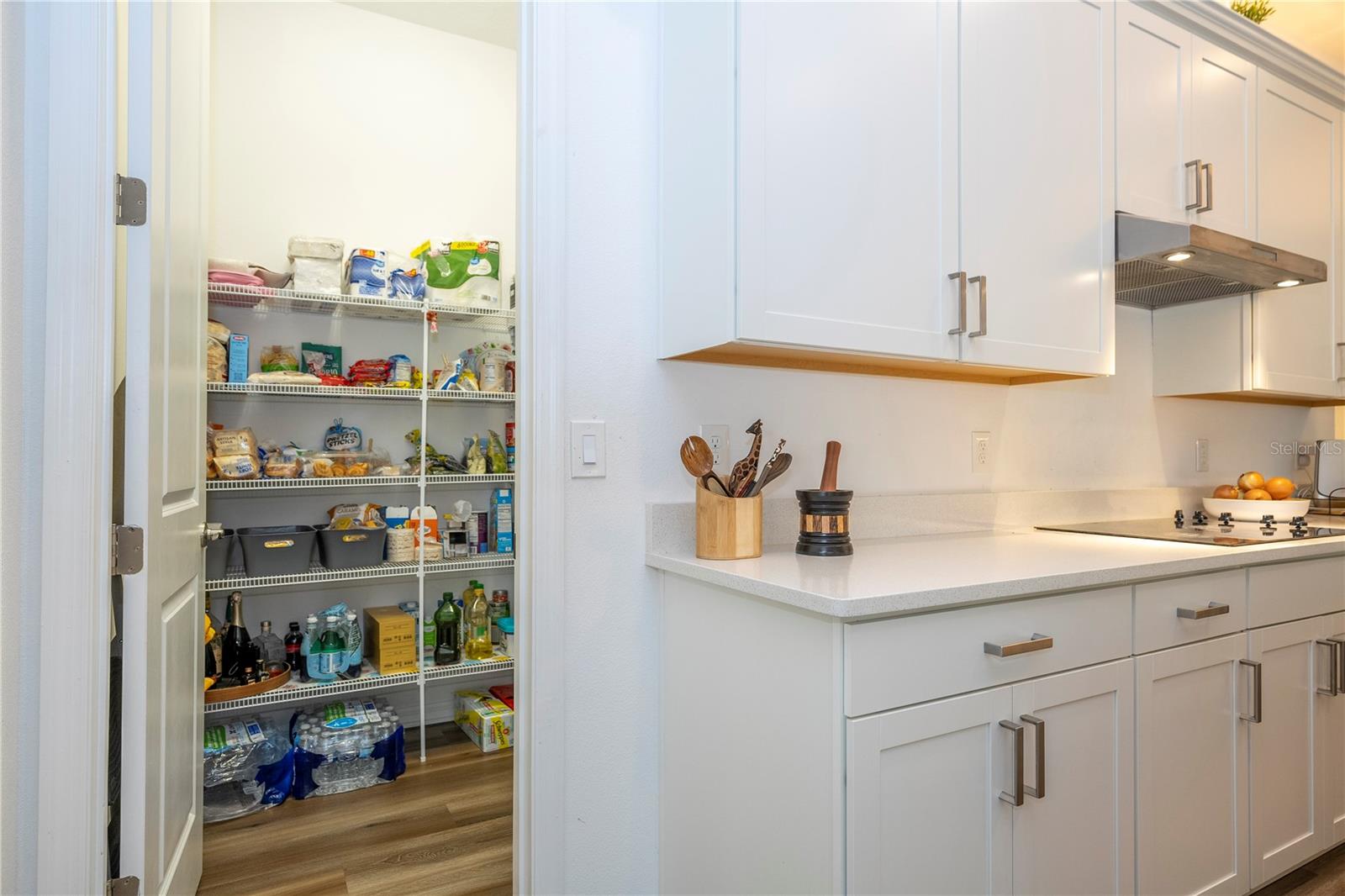 Image 44 of 88 For 10551 Petrillo Way