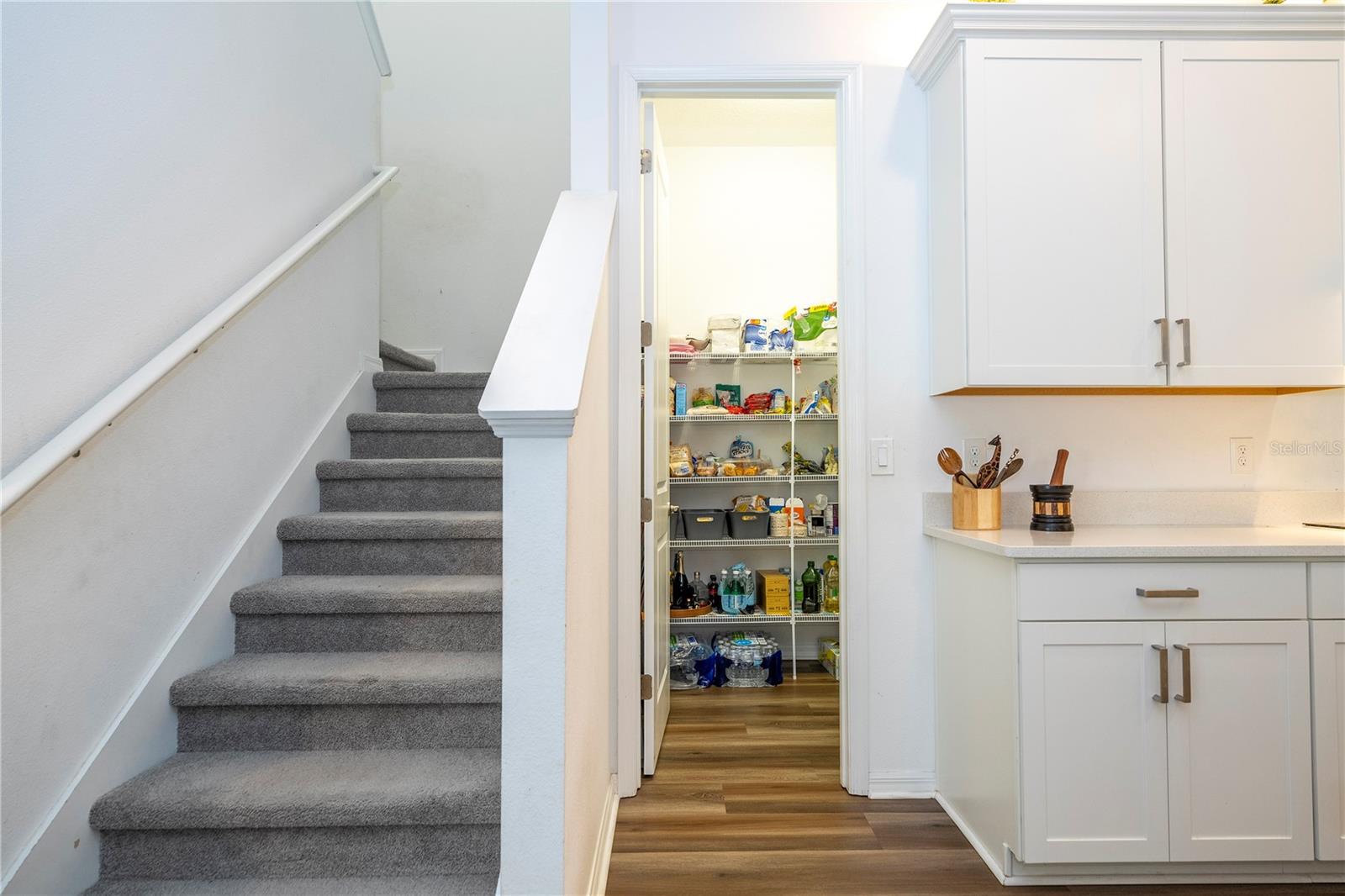 Image 48 of 88 For 10551 Petrillo Way