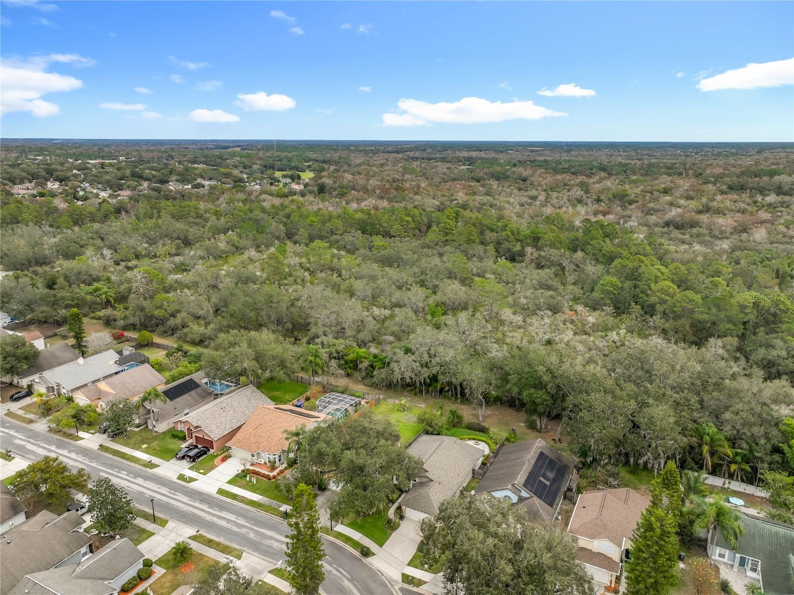 Image 54 of 58 For 1648 Sand Key Circle