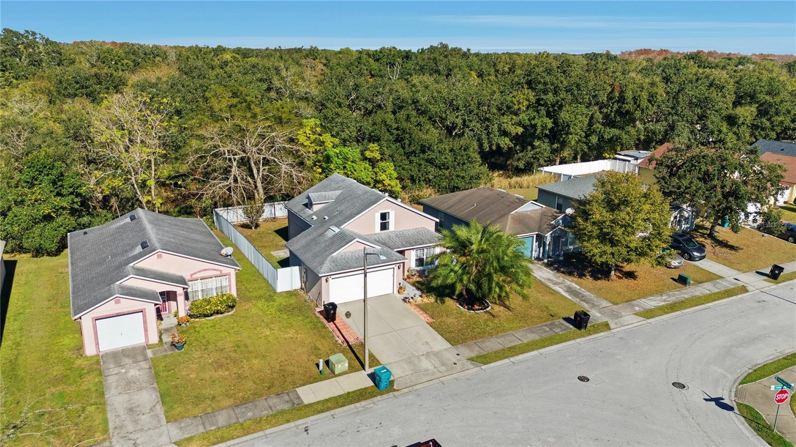 Image 31 of 39 For 5051 Luna Negra Drive