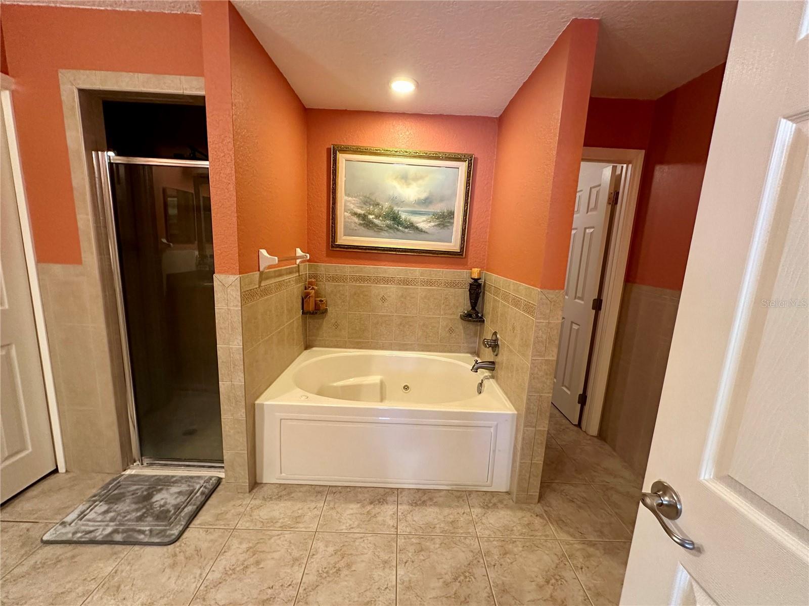 Image 45 of 67 For 2576 175th Loop